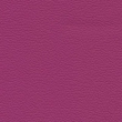 Hermes purple