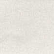 Shanghai Ivory