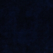 Terra 79