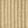 Tilia 08