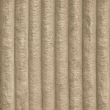 Terra 11
