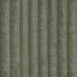 Tilia 37