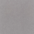 Skin 02
