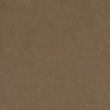 Skin 08