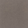 Skin 13