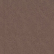 Seal 20