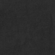 Lino 19