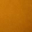 Polo 881