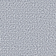 Taro 11