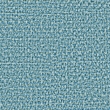 Taro 31
