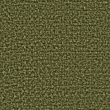 Taro 33
