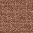 Taro 55
