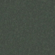 Monte 39